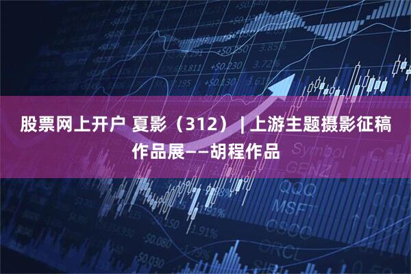 股票网上开户 夏影（312） | 上游主题摄影征稿作品展——胡程作品