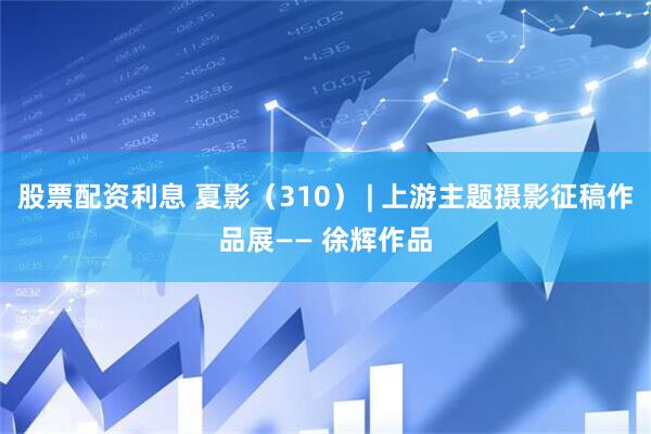 股票配资利息 夏影（310） | 上游主题摄影征稿作品展—— 徐辉作品