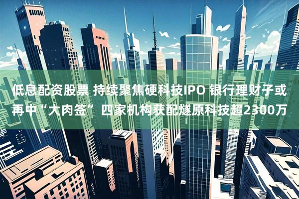低息配资股票 持续聚焦硬科技IPO 银行理财子或再中“大肉签” 四家机构获配燧原科技超2300万